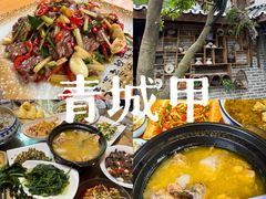 -青城甲(青城山店)