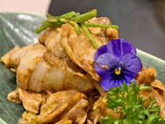 -鸢飞潍坊菜馆(鸢飞大酒店)
