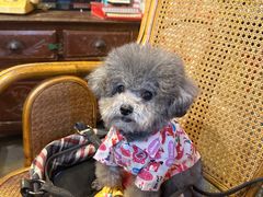 -老长沙龙虾馆·聚会餐厅(白石洲店)