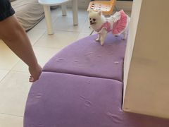 -怪兽屋·羊驼·猫咖·狗咖(俊华广场店)