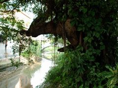 -小洲村