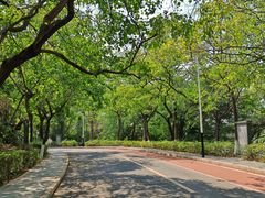 -水濂山森林公园