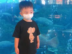 -成都浩海立方海洋公园