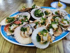 -Bờ kè Nhật Thi