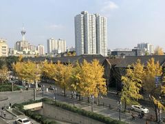 -成都尼依格罗酒店