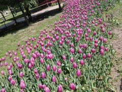 -长春公园(普阳街道)