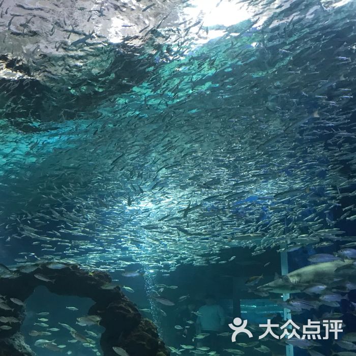 济州岛水上星球水族馆