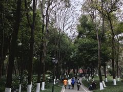 -塔子山公园
