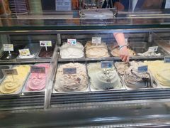 -Dooley's Premium Ice Cream