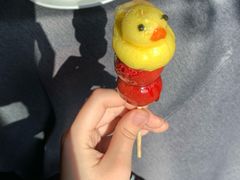 -羲和雅苑•北京烤鸭(平安国际金融中心店)