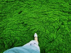 -阳光海岸露营公园