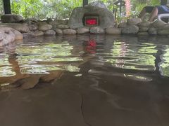 -融汇温泉