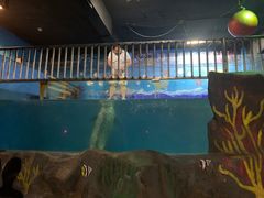 -常州海昌海洋探索馆