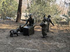 -阳台山自然风景区