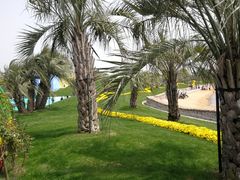 -南通洲际绿博园