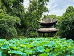 -三苏祠