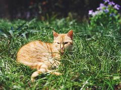 -苏州河梦清园环保主题公园