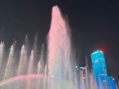 -秋水广场音乐喷泉