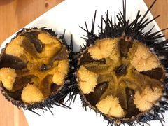 -海胆小馆(东北水饺·春柳店)