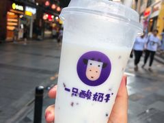 -一只酸奶牛(八一路店)