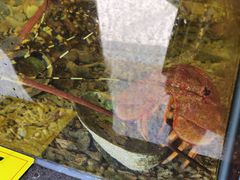 -顺德了能馆(虎门店)