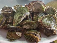 -南蚝小贝海鲜特色餐厅(南澳岛店)
