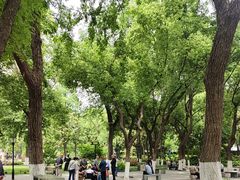 -常州古运河南大街文化旅游区-人民公园