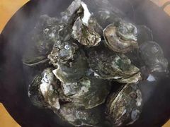 蚝-蚝专家(北滘店)