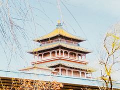-莲花池公园
