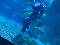 -福州罗源湾海洋世界旅游区