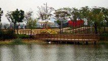 -新江湾城公园