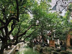 -小洲村