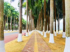 -南宁花花大世界景区