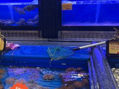 -万宝海鲜舫(劳动公园店)