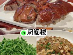 -凤阁楼果木烧鹅(鹤山陈山店)