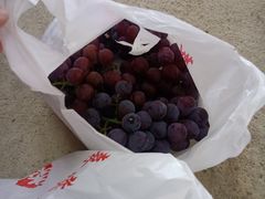 -麦园农庄·西江河鲜