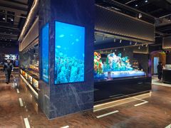 -萧邦音乐会所KTV·蒸汽活海鲜自助(福田店)