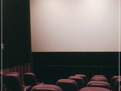 -中影嘉华国际影城(大芬星都里店)