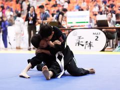 -菠萝格斗巴西柔术训练馆