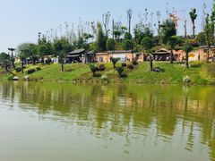 -枫香湖儿童公园