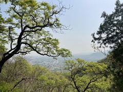 -北京鹫峰国家森林公园