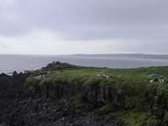 -涉地可支