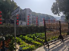 -湘力力小院·鱼汤泡饭(枫林路店)