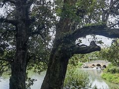 -黑龙潭公园