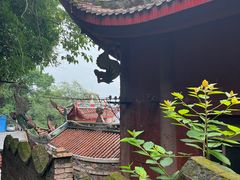 -龙泉洞(沙坪坝区)