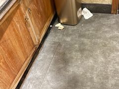 -鸽子窝(青塔店)