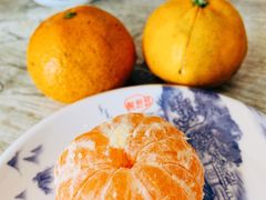 -品雅轩农家乐