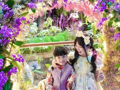 -正佳雨林生态植物园