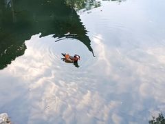 -拙政园