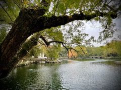 -无锡蠡湖国家湿地公园-蠡园